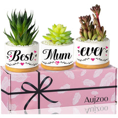 Aujzoo Mum Gifts For Birthday, Mum Gifts from Daughters Sons for Mother's Day, Best Mum Ever Succulent Pots Creative Present for Mom, Garden Decor Planter Succulent Pots