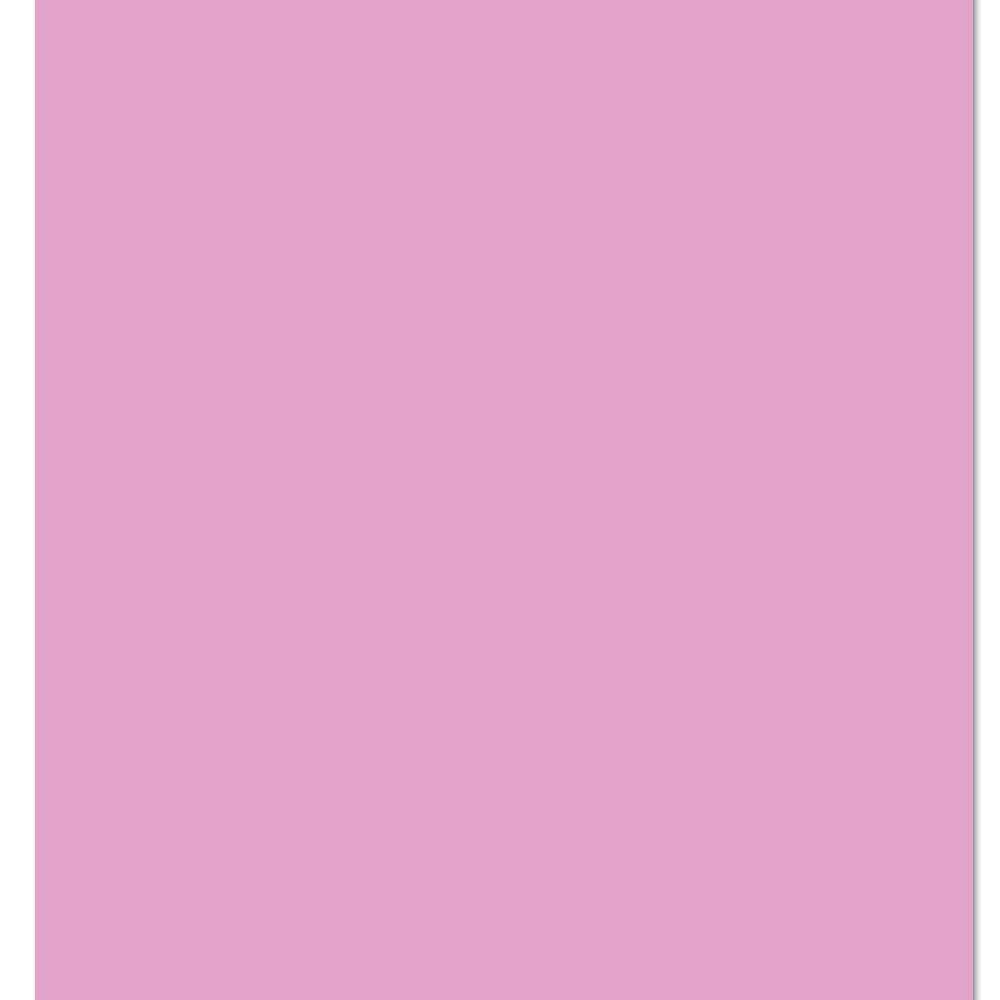 ARK A4 240gsm Colored Card Stock Pack of 10 Sheets (Lilac)