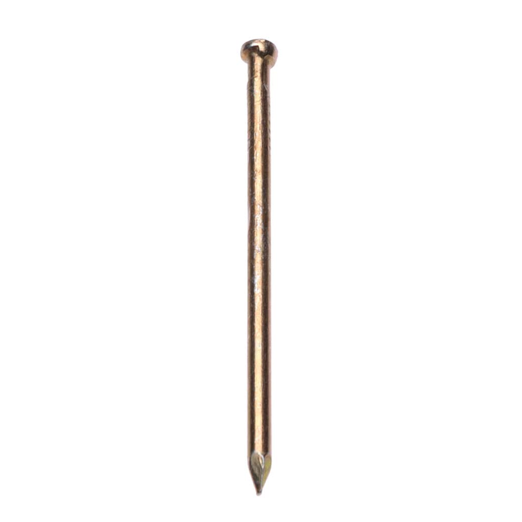 Panel Pins Finishing Nails Veneer Pins (Pack of 100) Yellow Zinc Plated Nail Galvanized Heavy Duty for DIY and Crafts Home Decor Woodwork Furniture Construction Size: Length 60mm Nail Diameter 2.5mm.