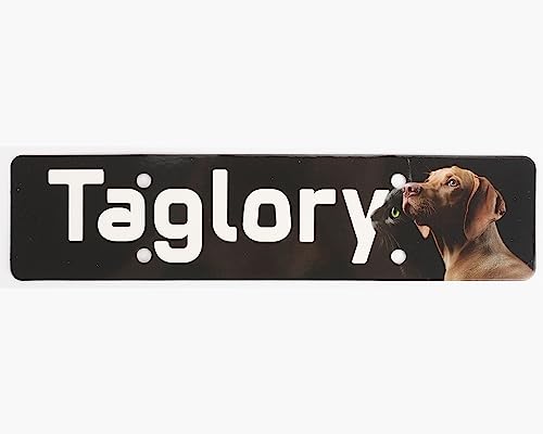 Taglory Reflective Nylon Dog Collar with Safety Buckle, Adjustable Pet Collars with Soft Neoprene Padding for Medium Dogs, Sky Blue