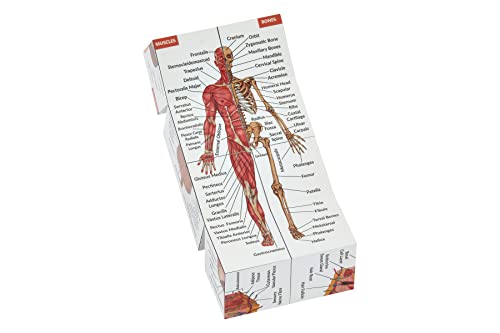 Human Anatomy Study Cube   Study 9 Parts of The Human Body   Perfect Anatomy Revision Guide   Addictive Anatomy Model Cube   Great Gift For Nurse, Dentist, Medical Students