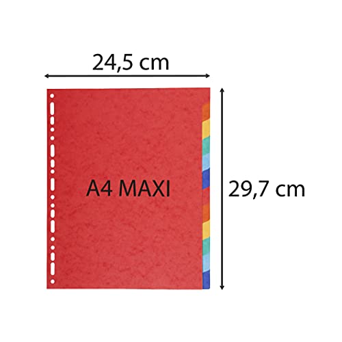 Exacompta - Ref 2112E - Forever Collection - 100% Recycled Dividers - Suitable for A4and Documents, 220gsm 100% Recycled Card, 12 Position - Multicoloured