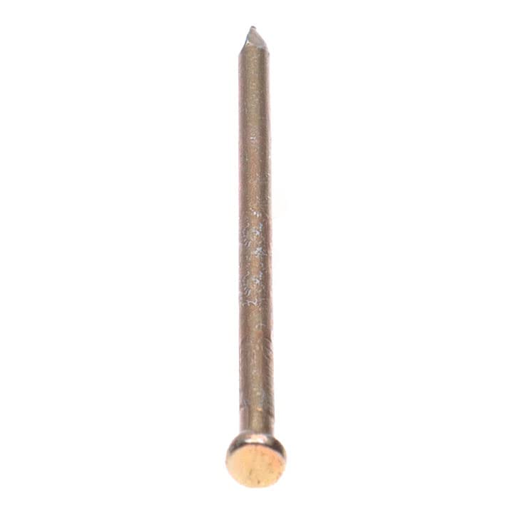 Panel Pins Finishing Nails Veneer Pins (Pack of 100) Yellow Zinc Plated Nail Galvanized Heavy Duty for DIY and Crafts Home Decor Woodwork Furniture Construction Size: Length 60mm Nail Diameter 2.5mm.