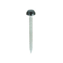 30mm Black UPVC Polytop Pins/Nails Stainless Steel (Pack of 50)