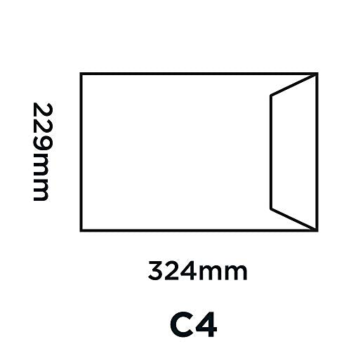 Blake Pure C4 229 x 324 mm 120 gsm Recycled Peel & Seal Pocket Envelopes (RP84653) Super White Wove - Pack of 20