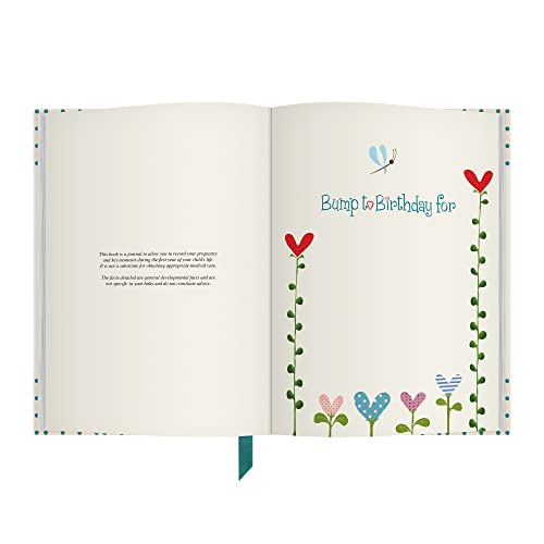 Bump To Birthday: Pregnancy & First Year Journal To Capture Memories Of the Growing Bump, the Birth & the New Baby (Pregnancy & Baby)