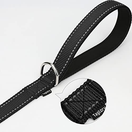 Taglory Dog Leads for Medium Large Dogs   Double Sided Reflective   Soft Neoprene Padded Handle   2.5cm Wide by 120cm Long   Black