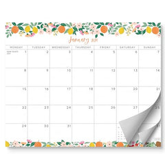 S&O Fruity Magnetic Fridge Calendar from January 2024-June 2025 - Tear-Off Refrigerator Calendar to Track Events & Appointments - 18 Month Magnetic Calendar for Fridge for Easy Planning - 8 inchesx10 inches in.