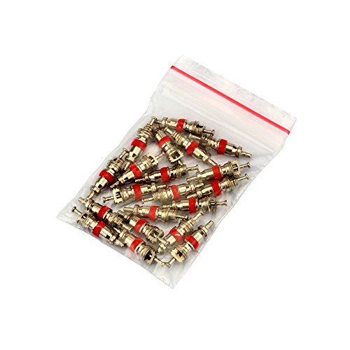 SENZEAL Single Head Valve Removers Red with 4 in 1 Tyre Valve Repair Tool and 20pcs Valve Cores