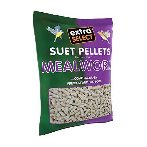 Extra Select Mealworm High Energy Suet Pellets Wild Bird Food - Protein, Fat Rich Year-Round Feeding - 3 kg Refill