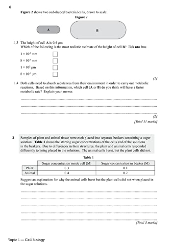 GCSE Biology AQA Grade 8-9 Targeted Exam Practice Workbook (includes answers): for the 2024 and 2025 exams (CGP AQA GCSE Biology)