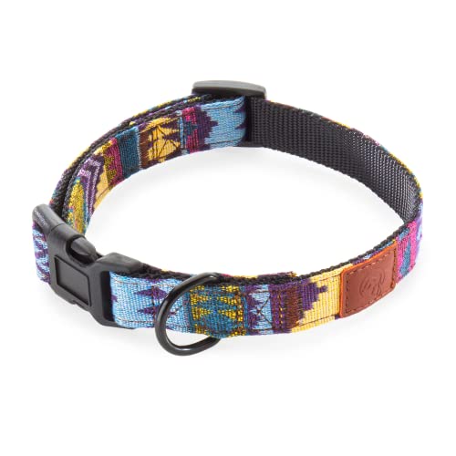 Embark Urban Dog Collars with Soft Padded Neck, Matching Set with Urban Leash and Harness, Pet Collars for Dogs & Most Breeds - Puppy Collars, Dog Collar for Medium Large & Small Dogs UK