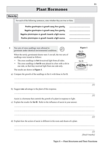 New GCSE Biology Edexcel Exam Practice Workbook (includes answers): for the 2024 and 2025 exams (CGP Edexcel GCSE Biology)