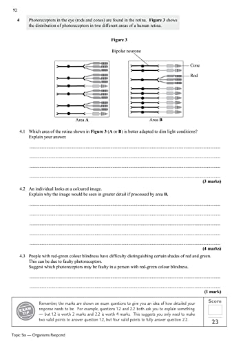 A-Level Biology: AQA Year 1 & 2 Exam Practice Workbook - includes Answers: for the 2024 and 2025 exams (CGP AQA A-Level Biology)