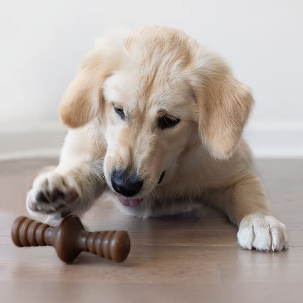 Benebone 2-Pack Indestructible Maplestick/Zaggler for Aggressive Chewers, Long Lasting Tough Boredom Breaker for Dogs, Real Bacon and Maple Wood Flavour, For Small Dogs, Made in the USA.