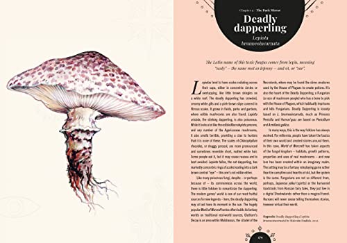 Kew - The Magic of Mushrooms: Fungi in folklore, superstition and traditional medicine