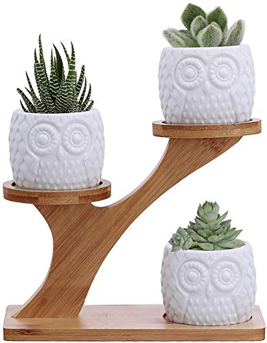 KPUY Owl Succulent Pots 3 Pcs with 3 Tier Bamboo Saucers Stand Holder, White Owl Succulent Plant Pots with Drainage and Bamboo Stand, Great for Office and Home Decor, Ideal for Gift.