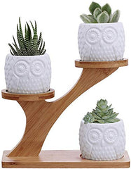 KPUY Owl Succulent Pots 3 Pcs with 3 Tier Bamboo Saucers Stand Holder, White Owl Succulent Plant Pots with Drainage and Bamboo Stand, Great for Office and Home Decor, Ideal for Gift.