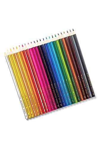 24 Colouring Pencils For Adults (Multicolor, 24)