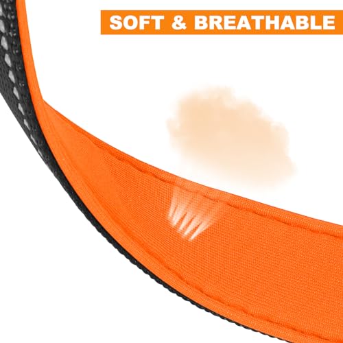 PcEoTllar Soft Dog Collar, Reflective Puppy Small Dog Collar, Nylon Neoprene Padded Dog Collar Medium, Adjustable Large Dog Collars with Tag, Basic Dog Collar, Orange-M