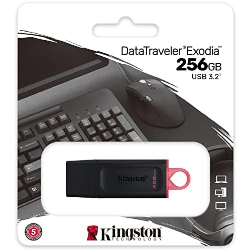 Kingston DataTraveler Exodia DTX/256GB Flash Drive USB 3.2 Gen 1 - with Protective Cap and Keyring in Multiple Colours