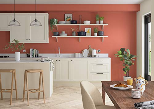 Dulux Simply Refresh Feature Wall Matt Emulsion Paint - Blood Orange - 30ML, Tester, 5569262