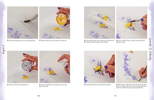 Painting with Brusho: Create vibrant & expressive paintings using watercolour ink powder