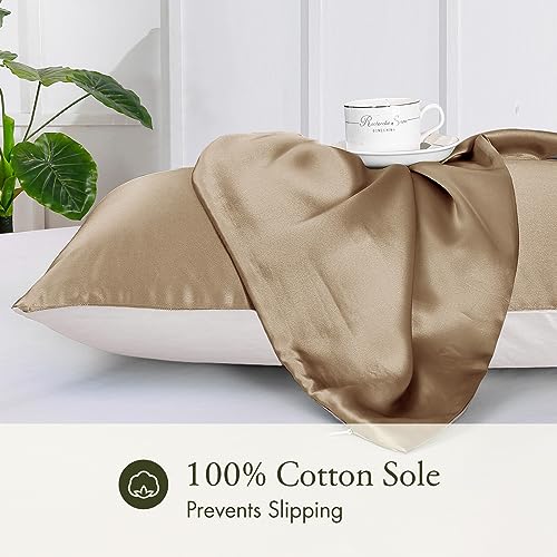 LILYSILK 1PC Silk Pillowcase for Hair and Skin, 19 Momme 100% Mulberry Silk with Cotton Underside, Soft Hypoallergenic Silk Bed Pillow Case with Hidden Zipper Bag Package(Standard 50x75cm, Taupe)