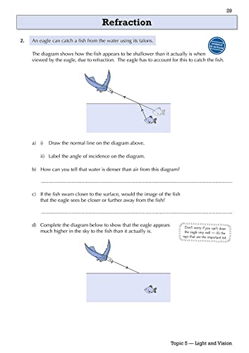 KS3 Science Year 8 Targeted Workbook (with answers) (CGP KS3 Targeted Workbooks)