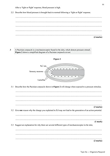 A-Level Biology: AQA Year 1 & 2 Exam Practice Workbook - includes Answers: for the 2024 and 2025 exams (CGP AQA A-Level Biology)