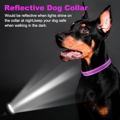 PcEoTllar Soft Dog Collar, Reflective Puppy Small Dog Collar, Nylon Neoprene Padded Dog Collar Medium, Adjustable Large Dog Collars with Tag, Basic Dog Collar, Purple-L