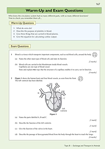 New GCSE Biology Edexcel Complete Revision & Practice includes Online Edition, Videos & Quizzes: for the 2024 and 2025 exams (CGP Edexcel GCSE Biology)