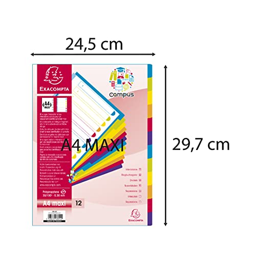 Exacompta - Ref 3812E - Campus PP Dividers - Suitable for A4and Documents, 12 Tabbed Parts, 0.3mm Rigid Polypropylene, Pre-Punched for Folders - Multi-Coloured (Pack of 2)