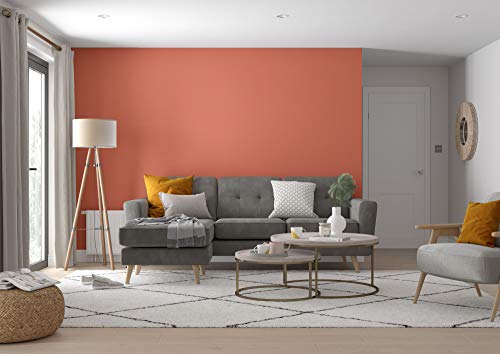 Dulux Simply Refresh Feature Wall Matt Emulsion Paint - Blood Orange - 30ML, Tester, 5569262