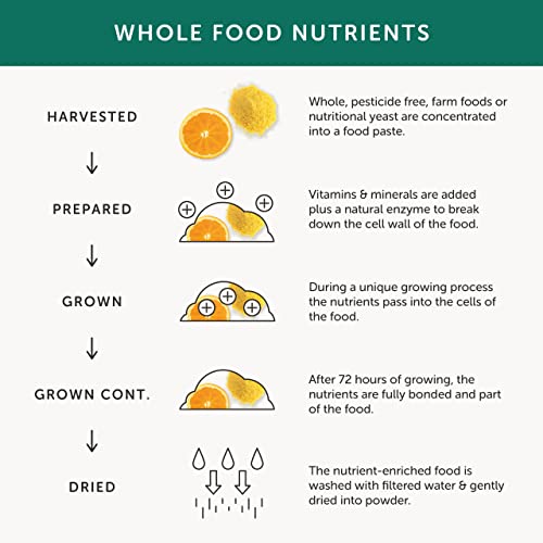 B-Vitamin Complex – Together Health – Whole Food Nutrients - 8 Essential B Vitamins - Vitamin C – Vegan Friendly – Made in The UK – 30 Vegecaps