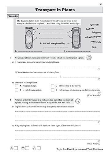 New GCSE Biology Edexcel Exam Practice Workbook (includes answers): for the 2024 and 2025 exams (CGP Edexcel GCSE Biology)