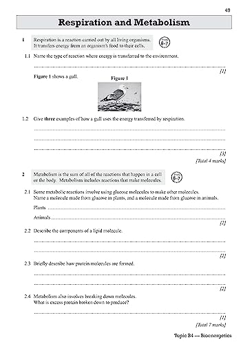 GCSE Combined Science AQA Exam Practice Workbook - Higher (includes answers): for the 2024 and 2025 exams (CGP AQA GCSE Combined Science)