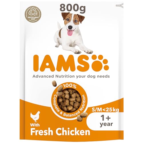 IAMS Complete Dry Dog Food for Adult 1and Small and Medium Breeds with Chicken 800 g