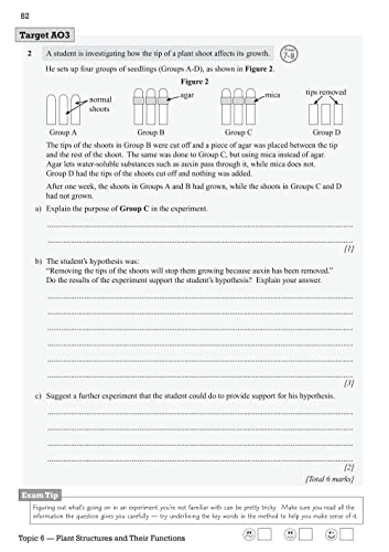 New GCSE Biology Edexcel Exam Practice Workbook (includes answers): for the 2024 and 2025 exams (CGP Edexcel GCSE Biology)