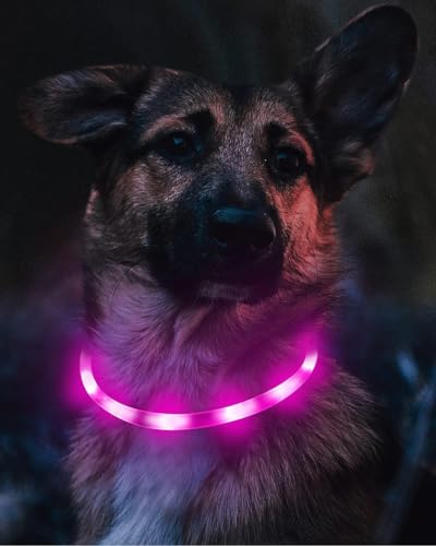 Joytale Light Up Dog Collar,LED Flashing Dog Collar for Night Walking, Glow Collars for Puppy Small Medium and Large Dogs,Purple