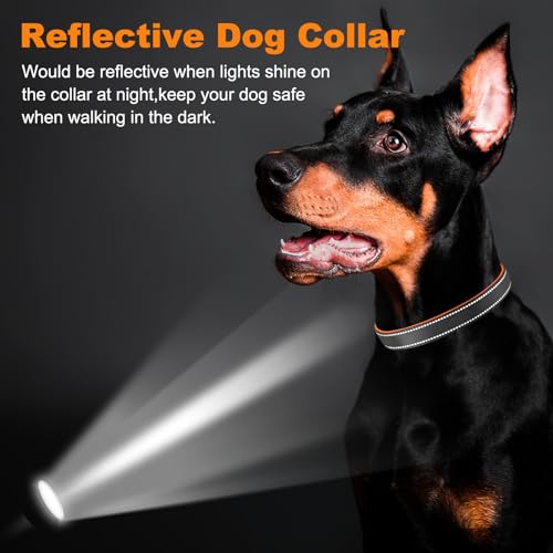 PcEoTllar Soft Dog Collar, Reflective Puppy Small Dog Collar, Nylon Neoprene Padded Dog Collar Medium, Adjustable Large Dog Collars with Tag, Basic Dog Collar, Orange-M