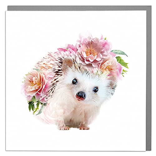 Lola Design - Wildlife Botanical Greeting Cards - Blank Cards and Envelopes - Hedgehog Card