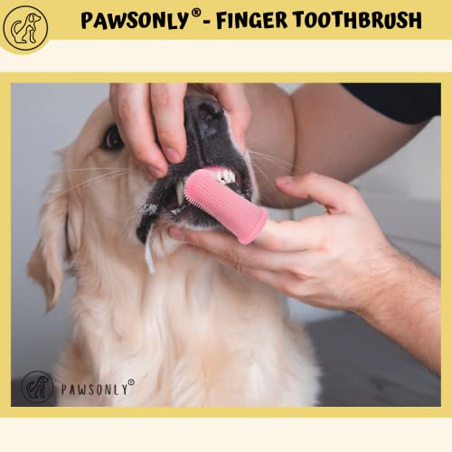 PawsOnlyUK Dog Finger Toothbrush   Set of 2   Toothbrush & Storage Case   Nontoxic Silicone   Teeth Cleaning Breath Dental Care Plaque Off   Dog Cat Puppy Toothbrush (Clear)