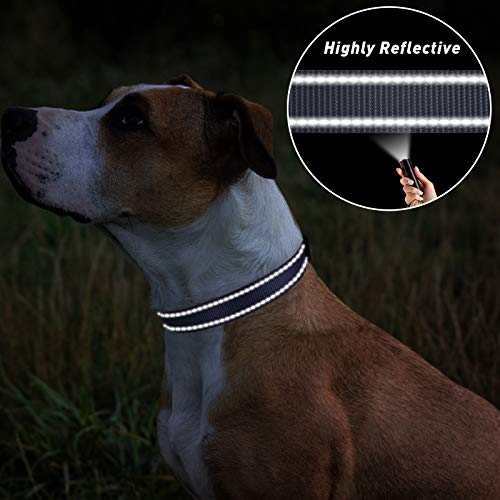 TagMe Reflective Nylon Dog Collars, Adjustable Classic Dog Collar with Quick Release Buckle for Small Dogs, Grey, 1.5 cm Width