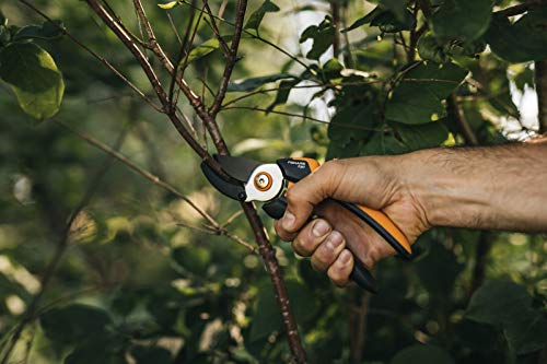 Fiskars Anvil Garden Pruners L, Solid, P361, For dry twigs and branches, Non-stick coated, Stainless steel blades, Length: 20.1 cm, Black/Orange, 1057165