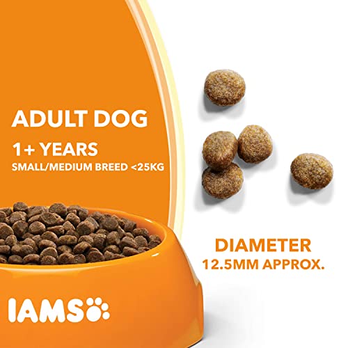 IAMS Complete Dry Dog Food for Adult 1and Small and Medium Breeds with Chicken 800 g (Pack of 2)