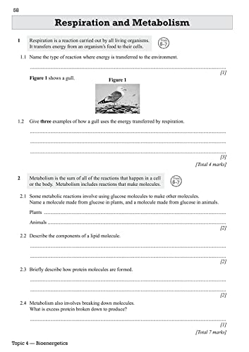 GCSE Biology AQA Exam Practice Workbook - Higher (includes answers): for the 2024 and 2025 exams (CGP AQA GCSE Biology)