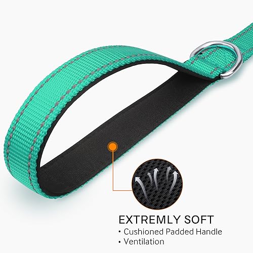 Joytale Padded Handle Dog Lead,Double-Sided Reflective Nylon Dogs Leads for Training,Walking Leash for Large, Medium Dogs, 1.8m × 2.5cm, Teal