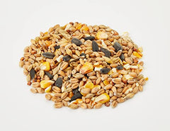 Extra Select Wild Bird Seed Mix with Black Sunflower Seeds, Wheat, Dari, Millet Seeds - Nutrient Rich Wild Bird Food for Small Birds - 1kg