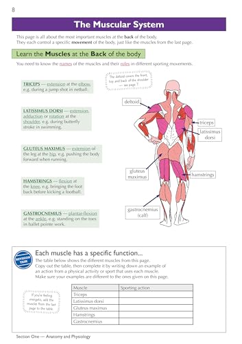 New GCSE Physical Education Edexcel Complete Revision & Practice (with Online Edition and Quizzes) (CGP Edexcel GCSE PE)